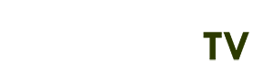 ảnh chị mèo simmy
